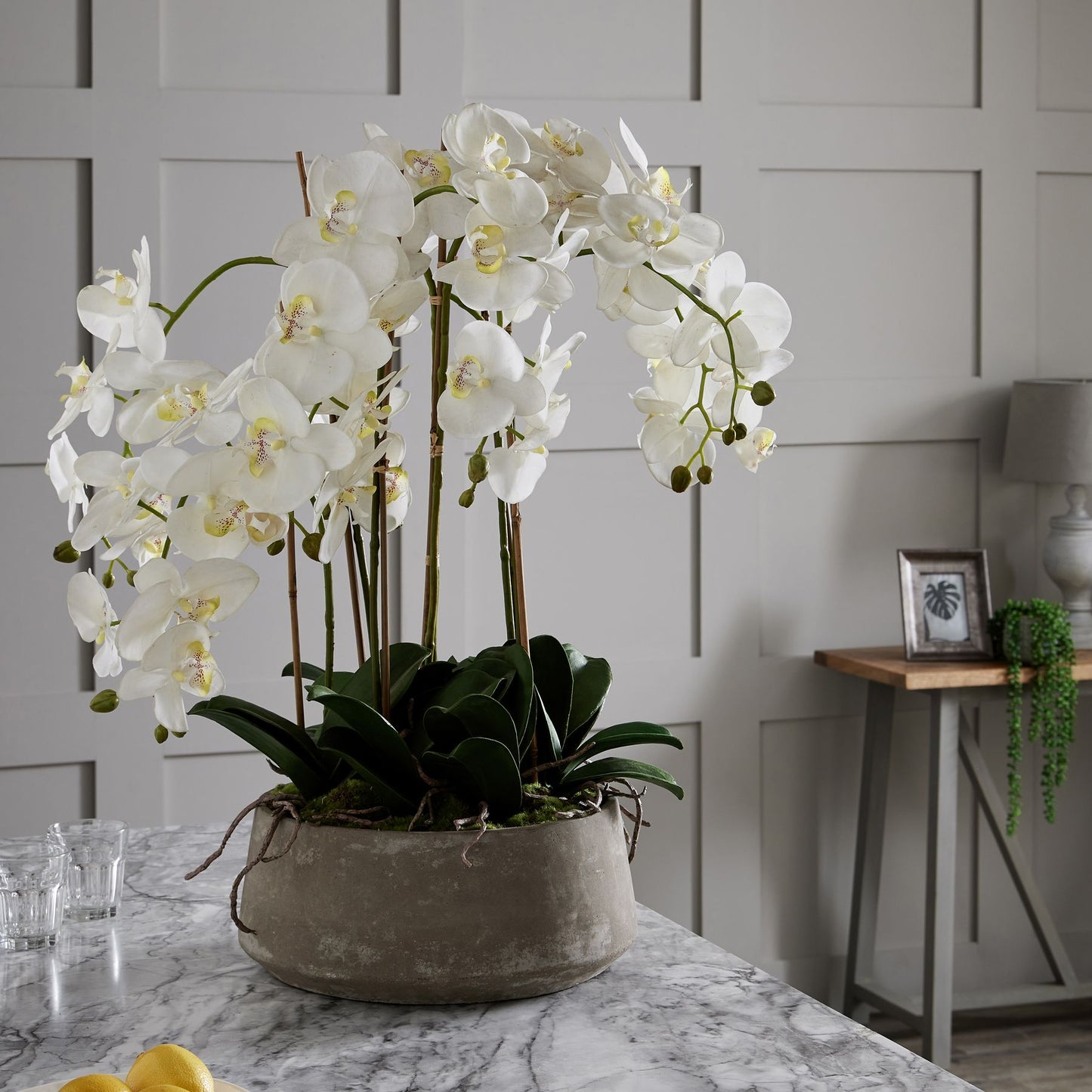 Large White Orchid in a Stone Pot